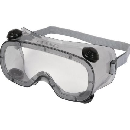Delta Plus RUIZ 1 Goggle Tam Kapalı İş Gözlüğü